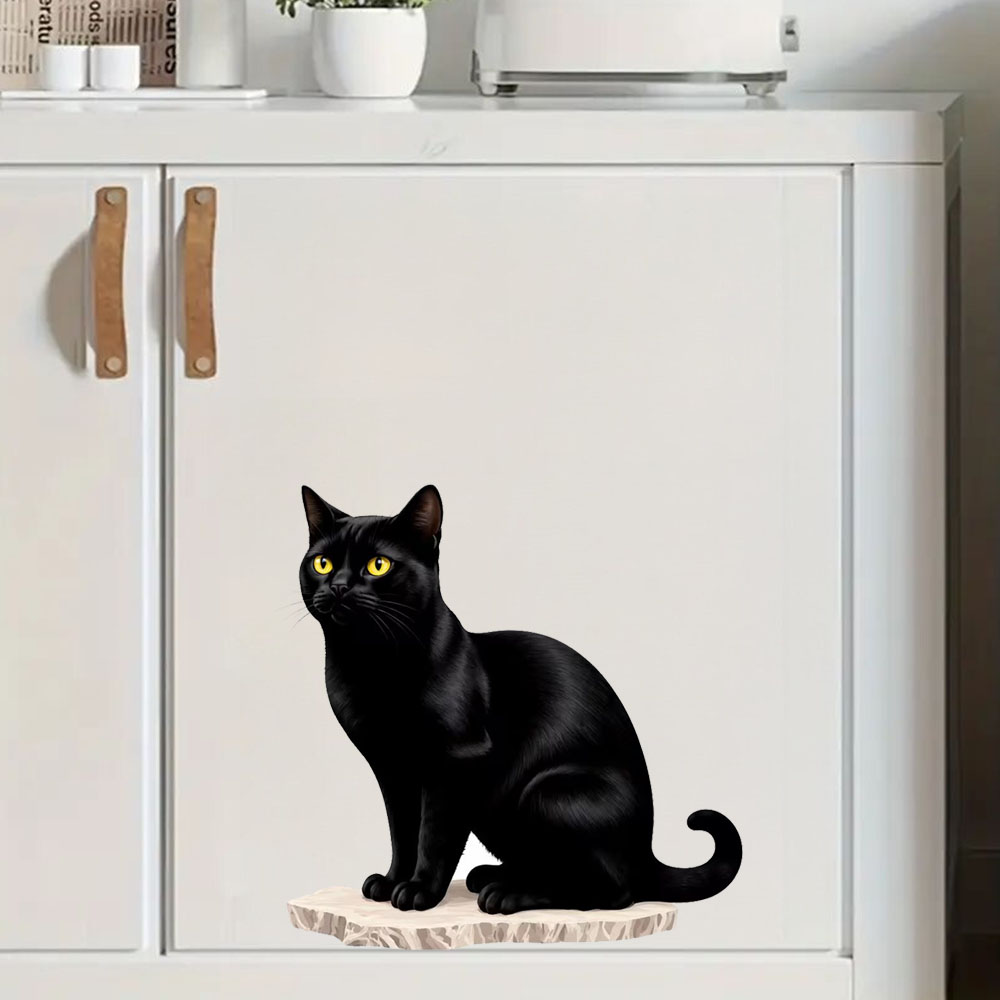 Lighting Mcqueen Bedroom Decor - Stunning Black Cat with Glossy Coat