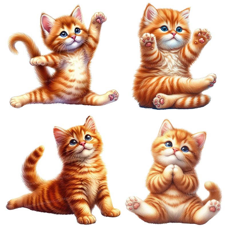 Yoga Cat  Wall Sticker Removab - Lighting Mcqueen Bedroom Decor 리뷰 및 가격