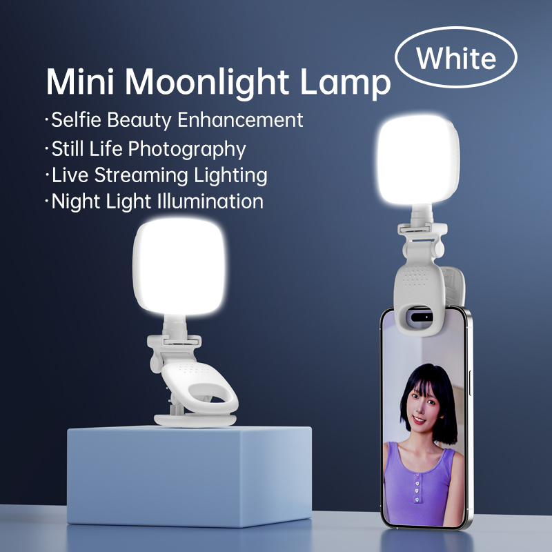 Portable LED Selfie Light Came - Lighting Gallery 리뷰 및 가격