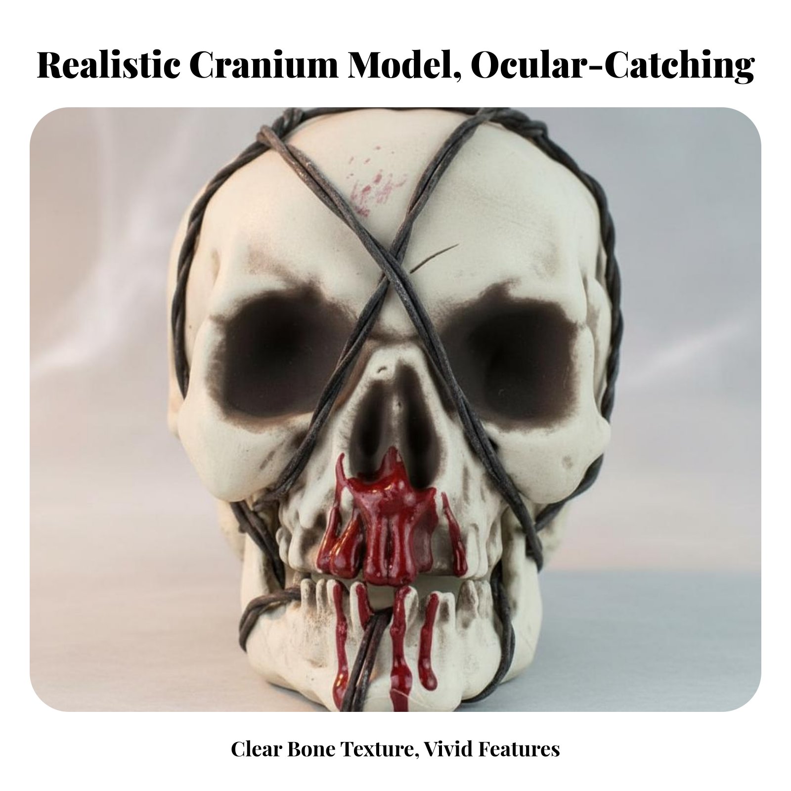 Realistic Skull Model Horror T - Lightings Decoration 리뷰 및 가격